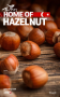Home Of Hazelnut