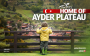 Home Of Ayder Plateu