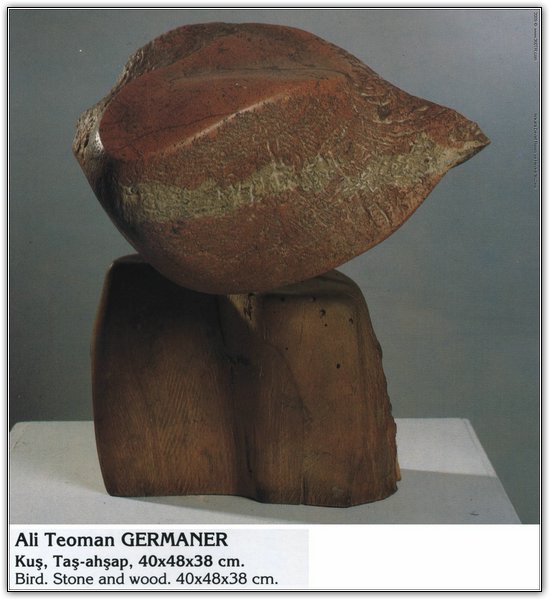 193-2.jpg