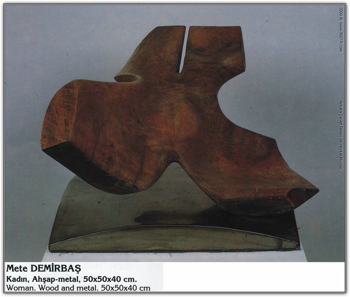 196-2.jpg