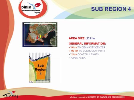 Slide_50