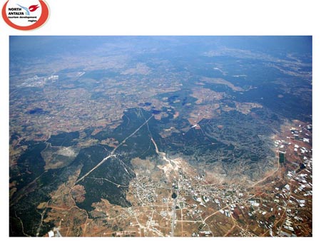 Slide_81